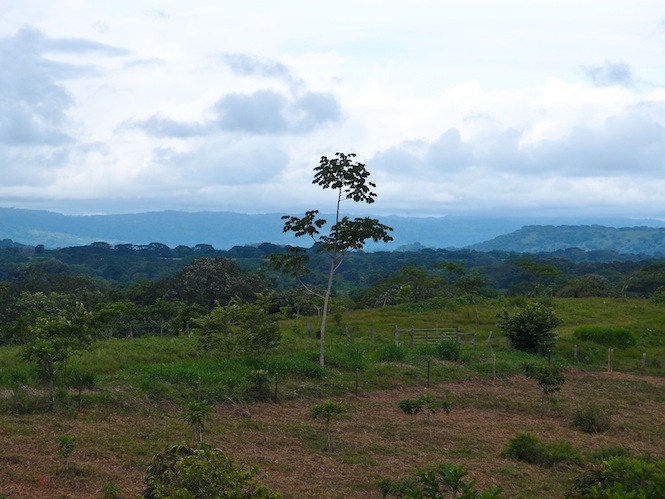 Ecuador or Panama? You tell me!