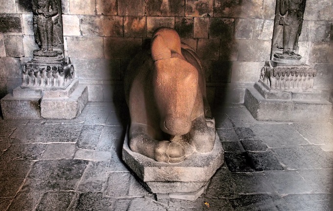 Nandi, Shiva's cow and vehicle, at Prambanan