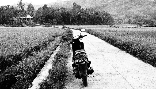 Motor bike n rice fields
