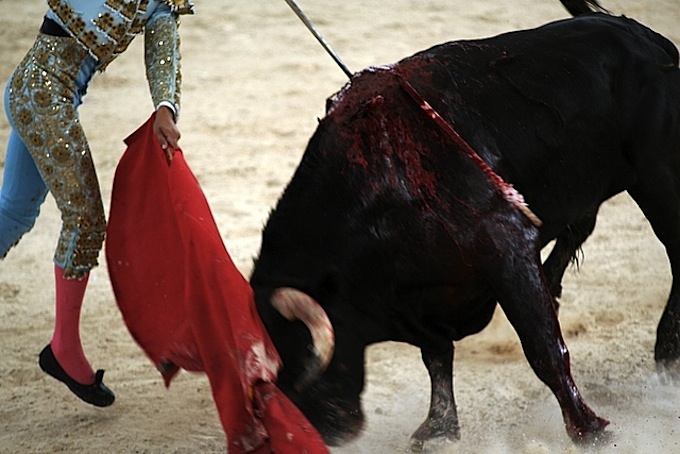 Plaza de Toros Bullfight and Folkloric Show Cancun, Mexico