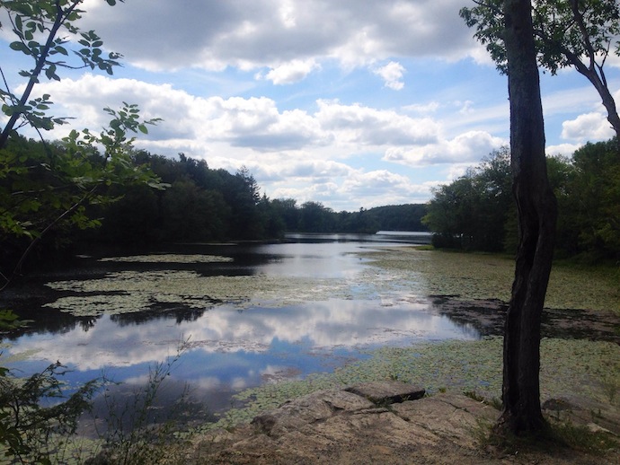 Wawayanda State Park