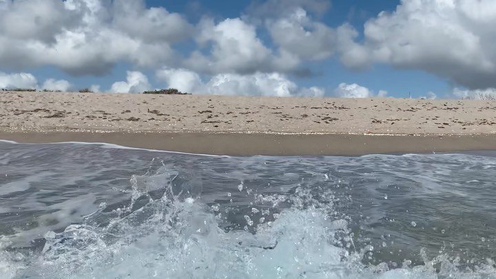 Shooting this #video was a little bit of an #adventure last week during my time in #westpalmbeach last week Had to be careful with my camera! #johndmacarthurstatepark is always a magical #beaches #floridabeaches #beach #ocean #atlanticocean #statepark  #stateparks #nature #naturephotography #iphonephoto